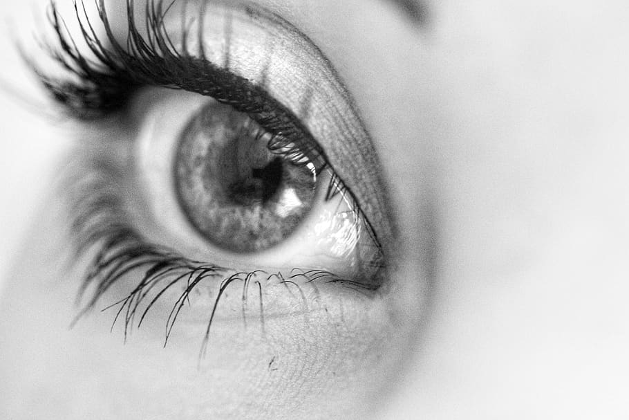 Human Eye, black and white, black-and-white, close-up, eyeball, HD wallpaper