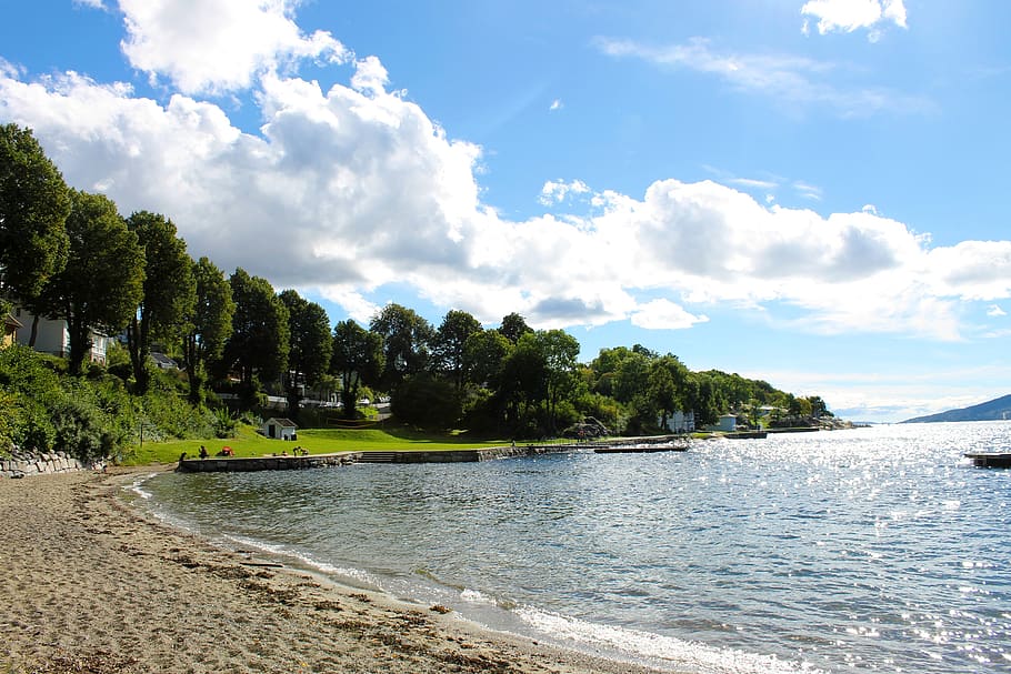 norway, drøbak, water, tree, cloud - sky, plant, beauty in nature HD wallpaper