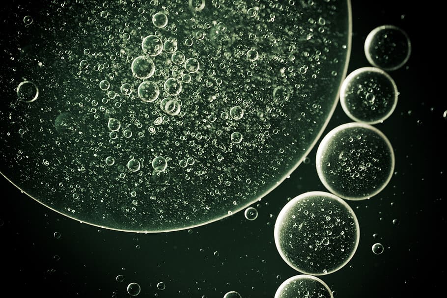 Water Bubbles Illustration, close-up, liquid, no people, indoors HD wallpaper