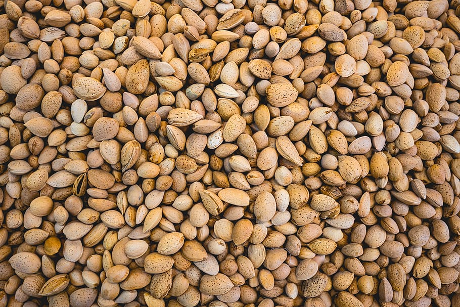 brown nuts, plant, food, vegetable, bean, lentil, produce, rug HD wallpaper