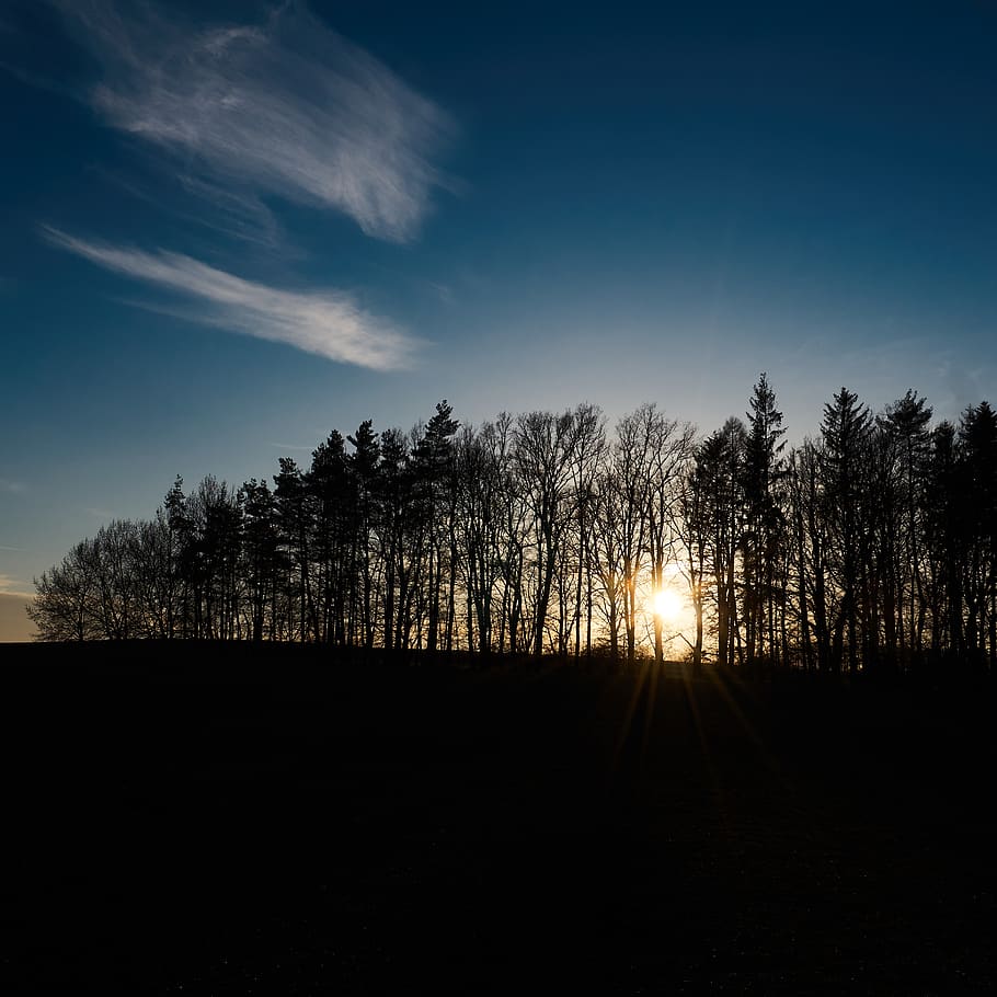 flare, light, sunlight, nature, outdoors, sky, dusk, red sky HD wallpaper