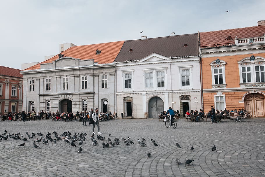 romania, timișoara, timisoara, spring, coffee shop, city, terrace HD wallpaper