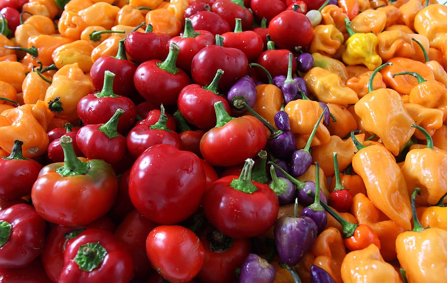 assorted-color bell peppers, food and drink, healthy eating, vegetable HD wallpaper