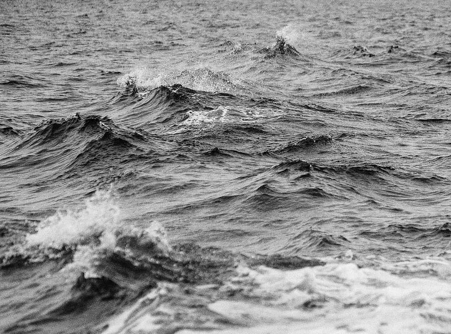 grayscale photography of body of water, black and white, wafe HD wallpaper
