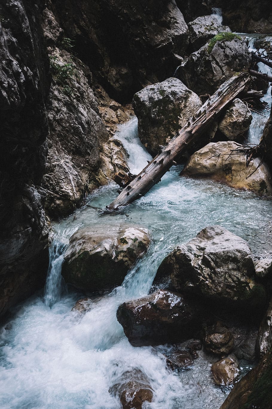 log on river during daytime, outdoors, water, stream, creek, germany HD wallpaper