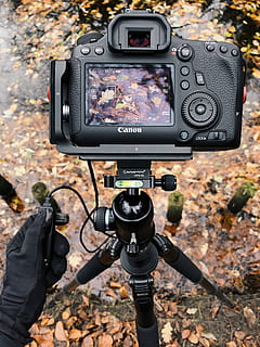 black Canon camera with stand, electronics, tripod, berlin, germany HD wallpaper