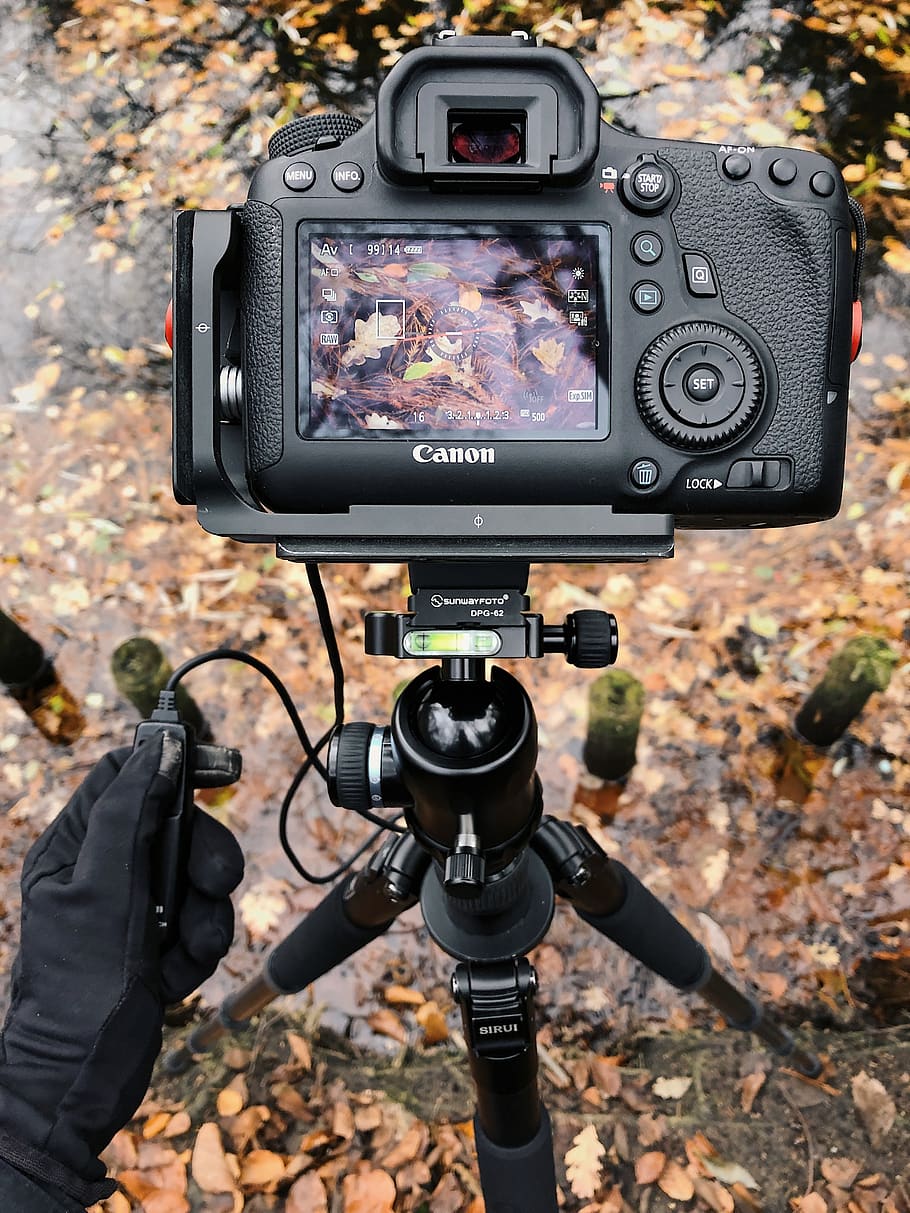 black Canon camera with stand, electronics, tripod, berlin, germany HD wallpaper