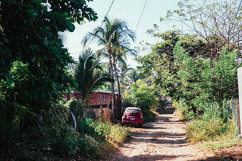 A dirt road through tropical greenery, Cloud, Clouds, Drive, Land HD wallpaper