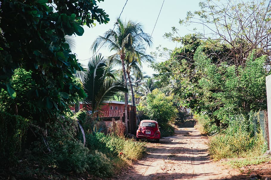 A dirt road through tropical greenery, Cloud, Clouds, Drive, Land HD wallpaper