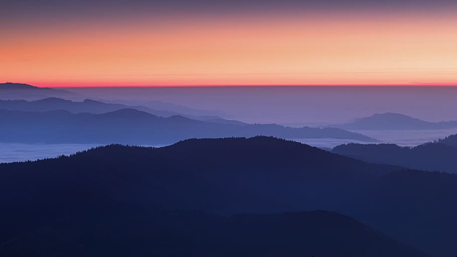 germany, waldkirch, kandel, trees, forest, sunset, fog, foggy, HD wallpaper