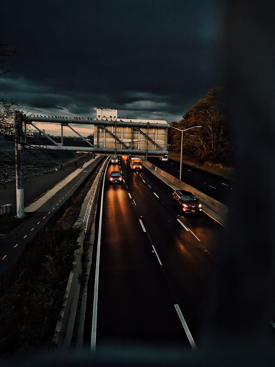 bird, bridge, newyork, light, car, road, rain, evening, sunset HD wallpaper