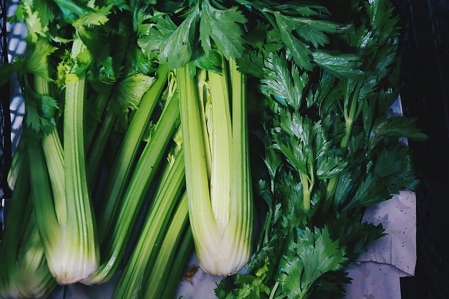 indonesia, bandung, vegetable, kitchen, cook, chef, celery, HD wallpaper