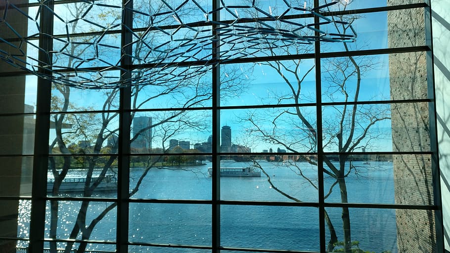 boston, united states, city view, sneak peak, science museum, HD wallpaper
