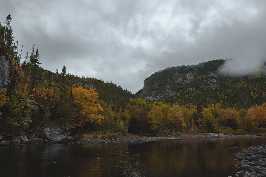 canada, clermont, forest, clouds, mountains, river, water, tree HD wallpaper