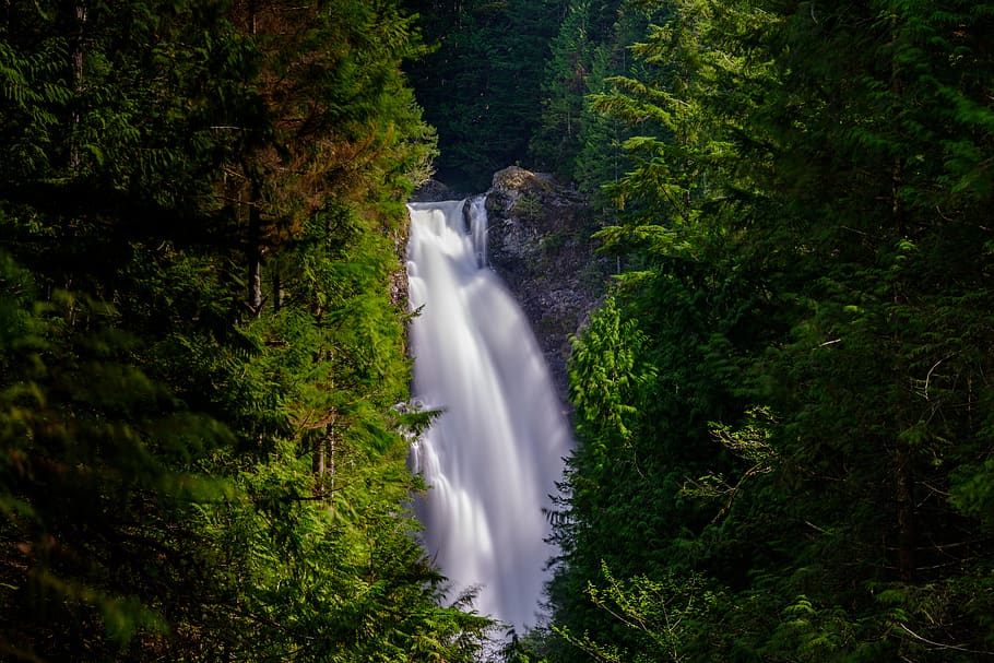 waterfalls beside tress, forest, tree, wallace falls state park, HD wallpaper