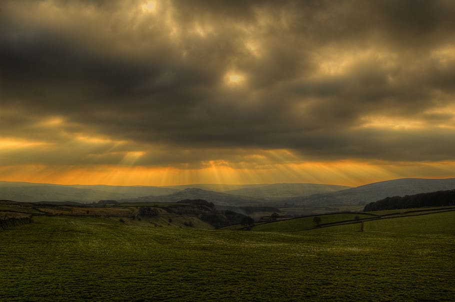 sunset, fields, sun's rays, evening, cloud - sky, beauty in nature HD wallpaper