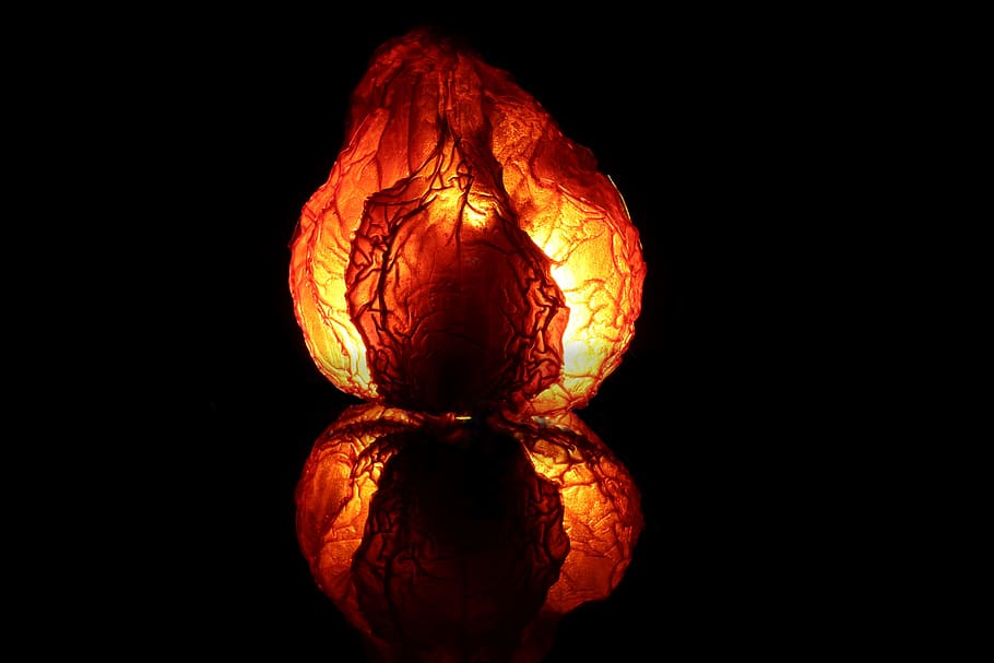 chili, spice, sharp, macro, chili peppers, light, mirroring, HD wallpaper