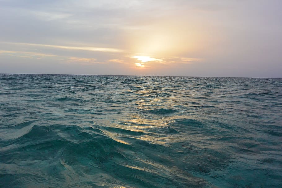 ocean, sea, turquoise, wave, beautiful, horizon, fish, waves HD wallpaper