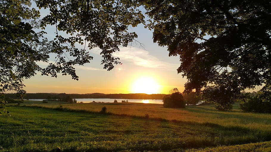 poland, sky, plant, sunset, tree, beauty in nature, tranquil scene HD wallpaper