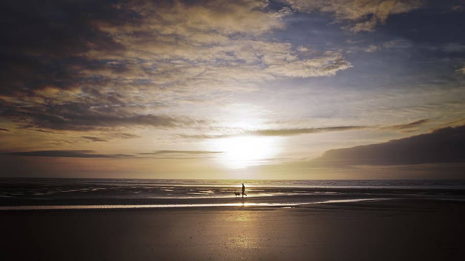 beach, sunset, dog, waves, shore, coast, ocean, twilight, dusk HD wallpaper