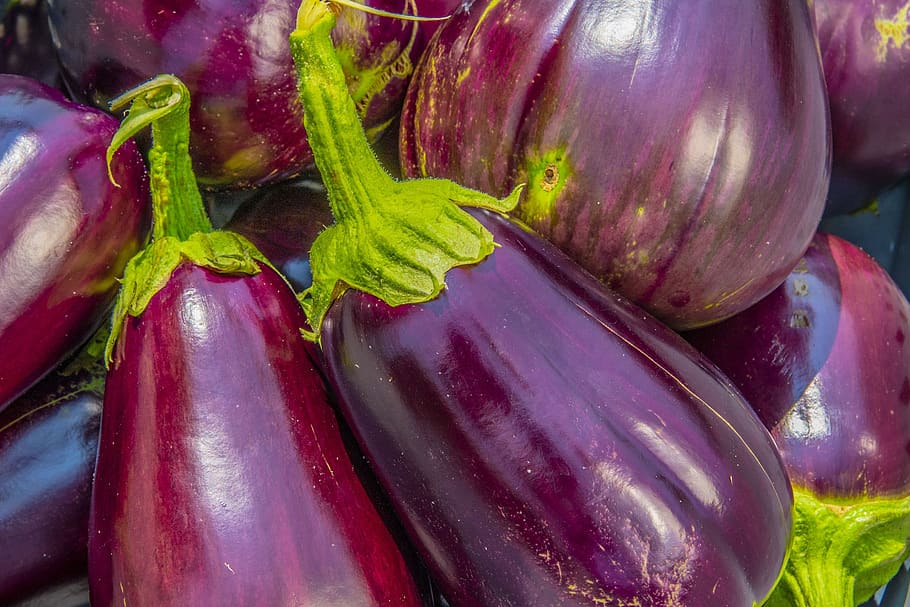 HD wallpaper: eggplant, aubergine, solanum melongena, raw, fresh, brinjal |  Wallpaper Flare