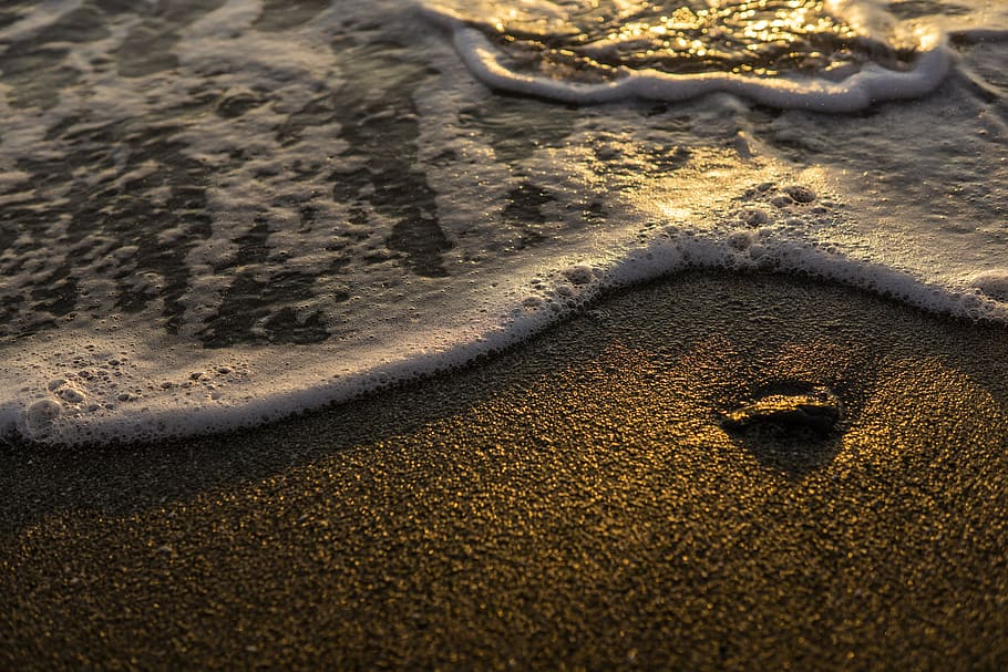 beach, hayama, sand, land, water, nature, surfing, aquatic sport HD wallpaper