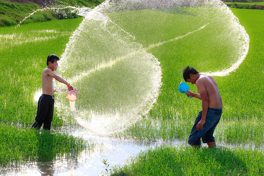 Two Boys Playing With Water on Rice Field, action energy, active HD wallpaper