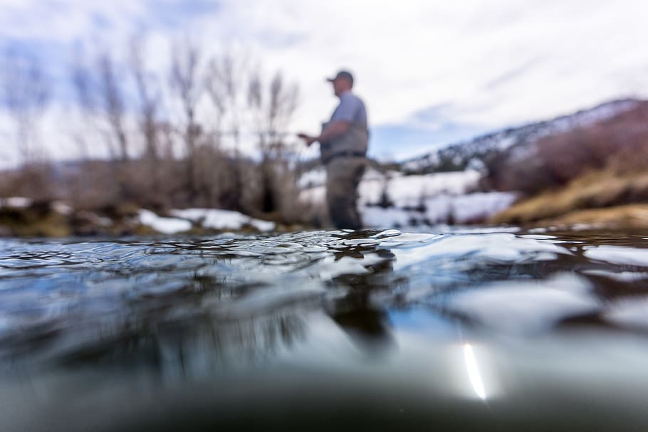 united states, provo, provo river parkway, flyfishing, forest