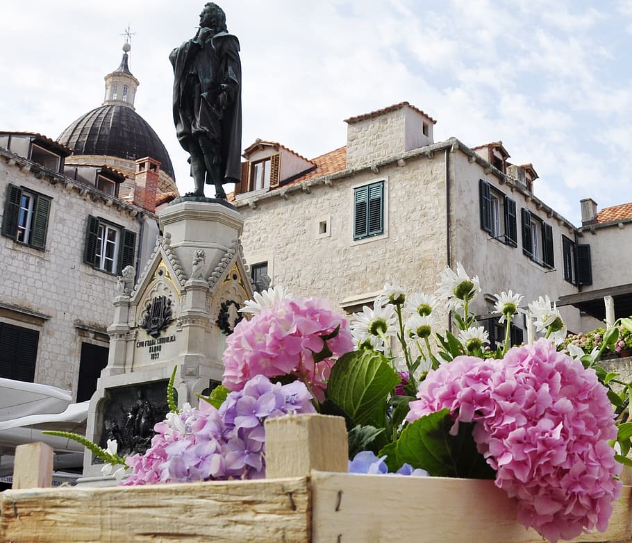 croatia, flowers, spring, piazza, travel, sightseiing, architecture HD wallpaper
