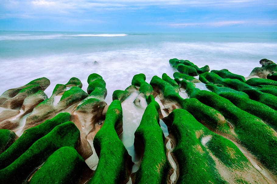 taiwan, beach, rocks, ocean, nature, beauty, moss, mist, water HD wallpaper