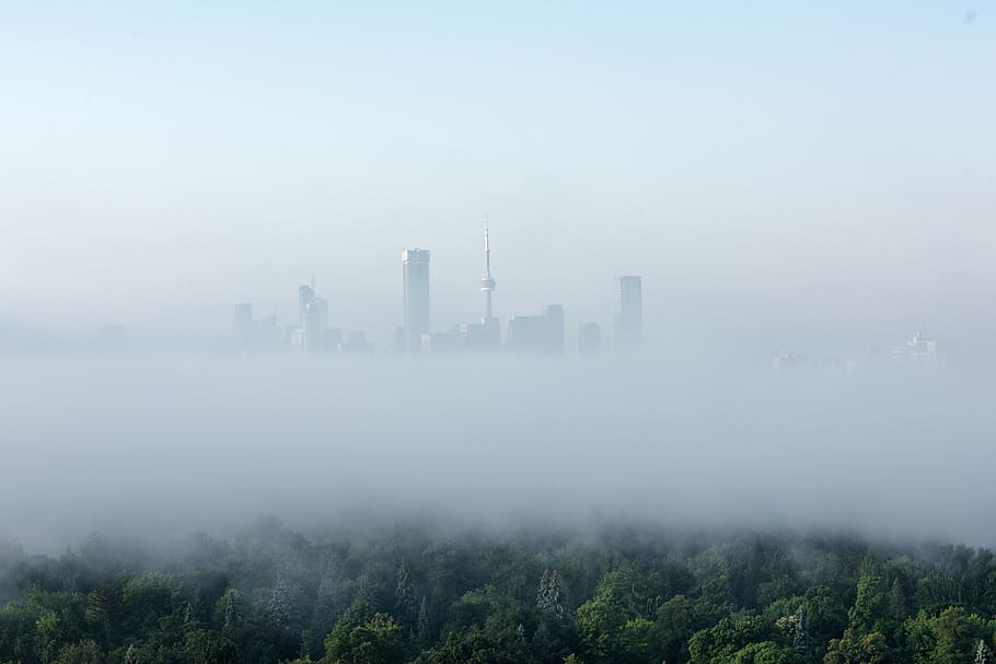 canada, toronto, trees, cloudy, mystical, view, skyline, city HD wallpaper