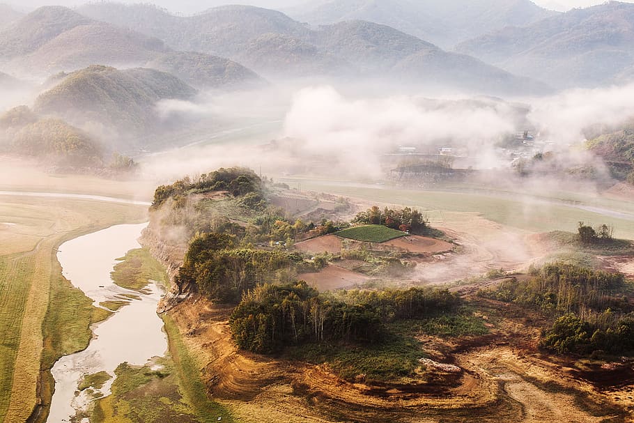 green trees cover with smoke, mountain, misty, forest, rocky HD wallpaper
