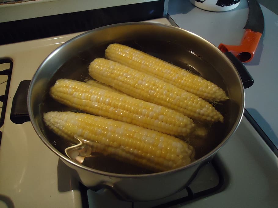 corn, on, the, cob, cooking, hot, pan, water, boiling, stove HD wallpaper