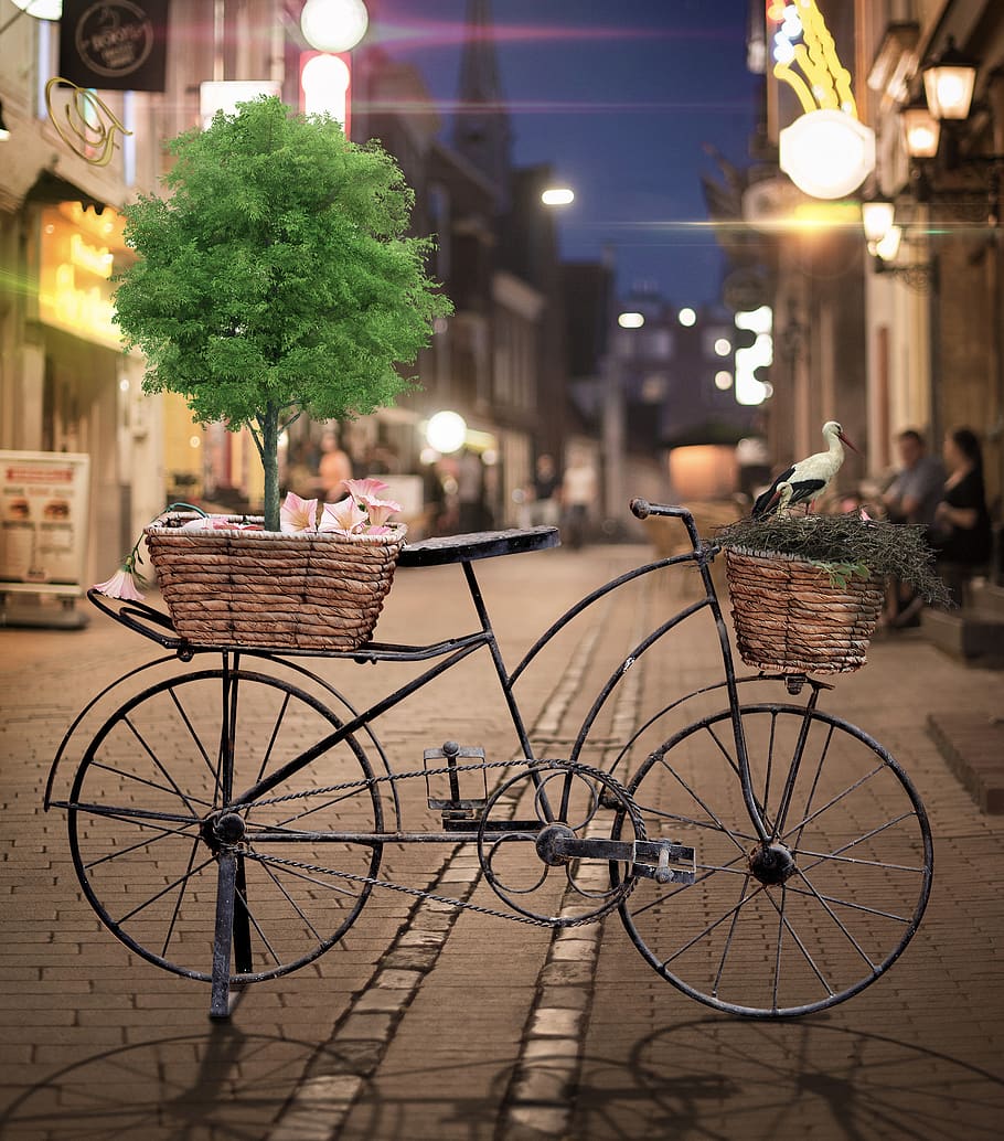 bicycle, street, birds, night, architecture, city, illuminated HD wallpaper