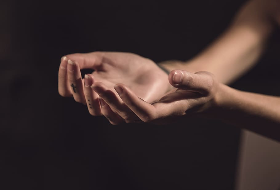 hands, palms, empty, human hand, human body part, studio shot HD wallpaper