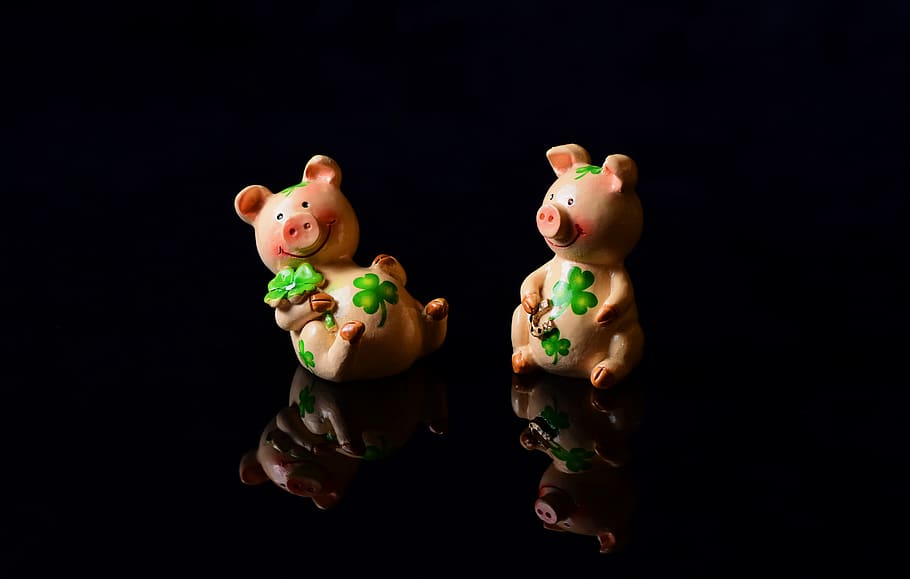 lucky pig, lucky charm, cute, piglet, four leaf clover, funny, HD wallpaper