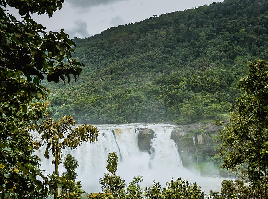waterfalls surrounded with plants and trees, india, pariyaram