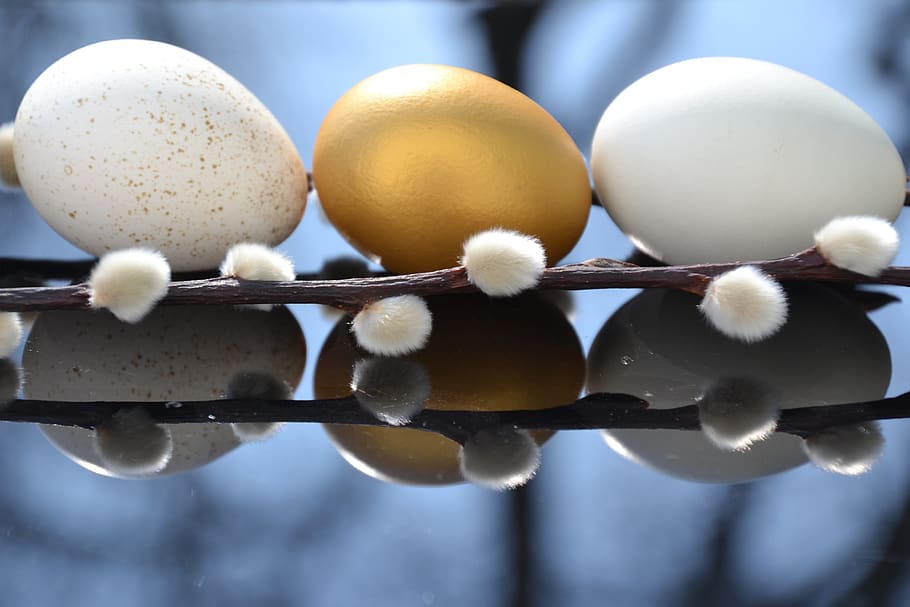 egg, putenei, goldei, hen's egg, easter, easter theme, easter decor HD wallpaper