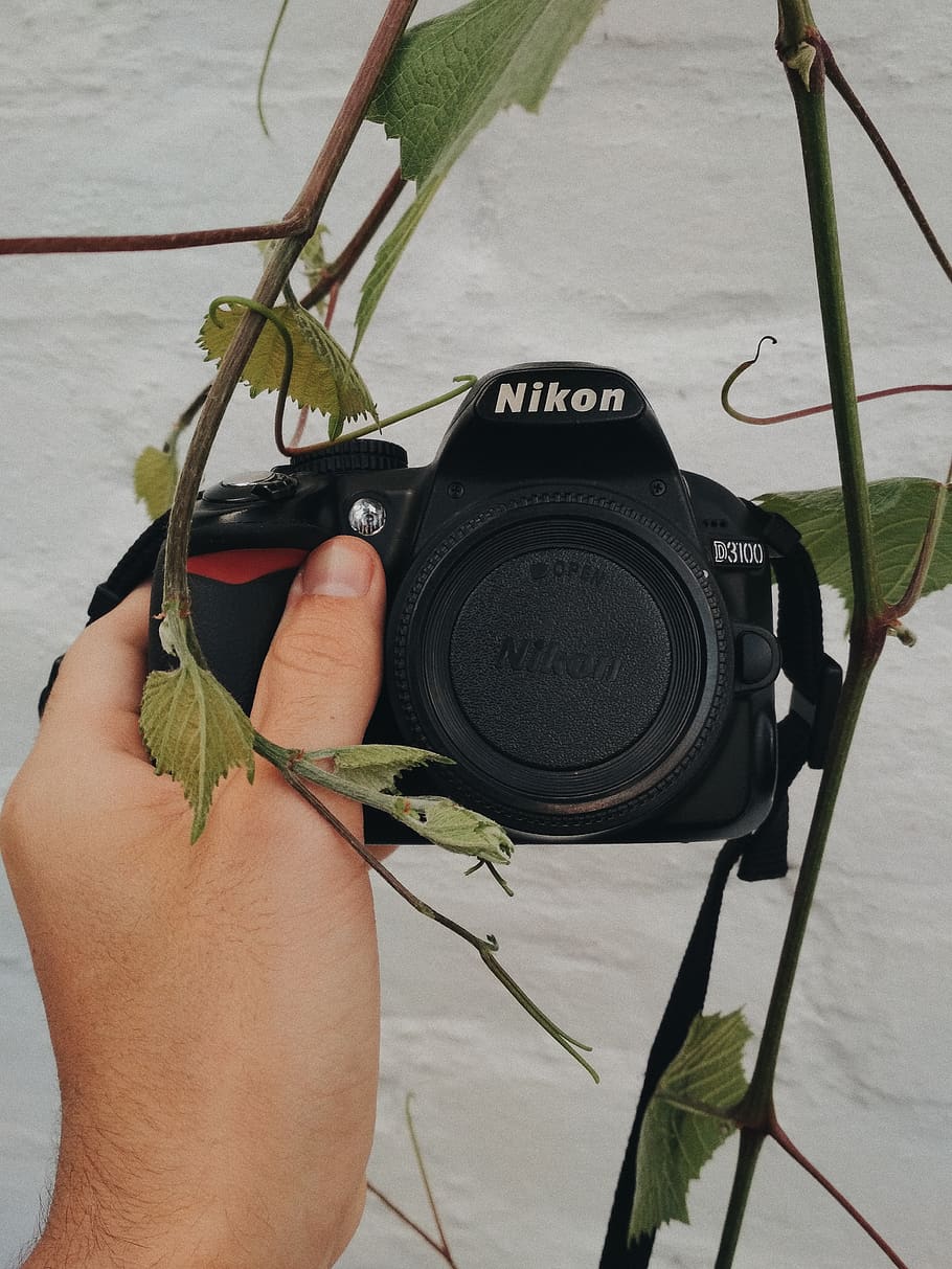electronics, camera, strap, person, human, digital camera, technology HD wallpaper
