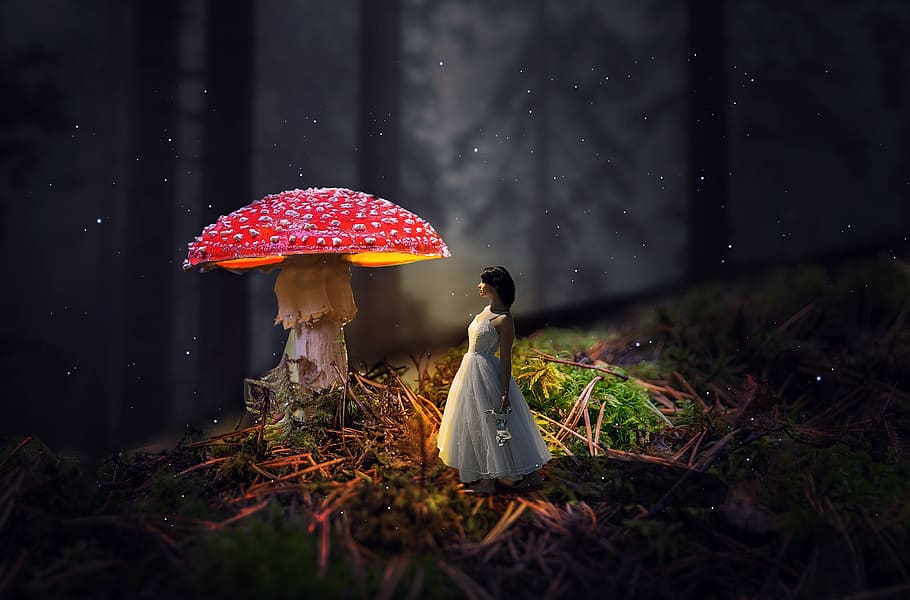girl, mushroom, forest, fairytale, fairy tale, woman, nature, HD wallpaper