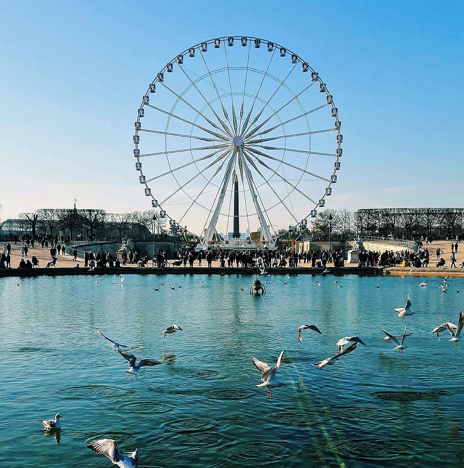 paris, concorde, carousel, water, city, france, birds, sunny HD wallpaper