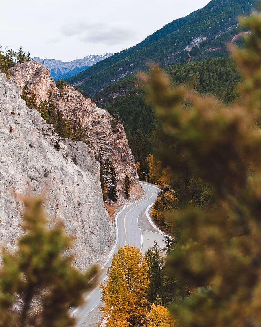 high-angle photography of empty road, cliff, tree, forest, woodland HD wallpaper