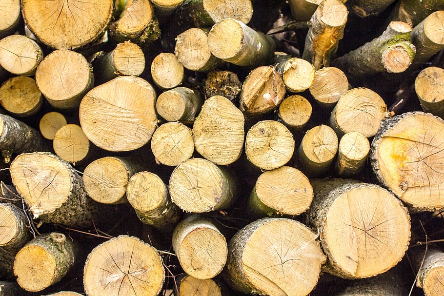 wood, tree, nature, log, woods, forest, make wood, annual rings HD wallpaper
