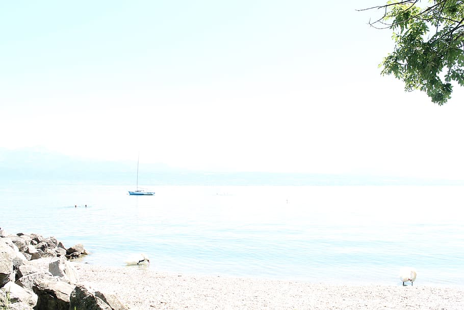 switzerland, saint-sulpice, sea, water, beach, scenics - nature HD wallpaper