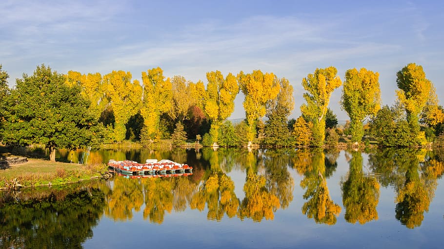 river, bank, water, reflection, mood, tree, plant, beauty in nature HD wallpaper