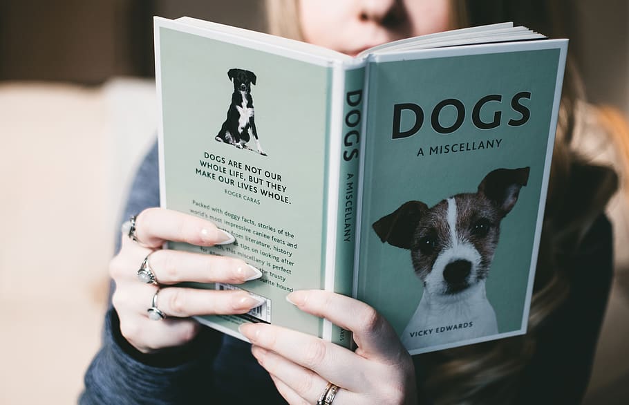Woman Holding Dogs a Miscellany Book, knowledge, learning, pages HD wallpaper