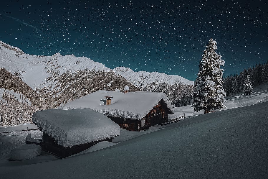 snow covered house roof beside pine tree under starry night, cabin HD wallpaper