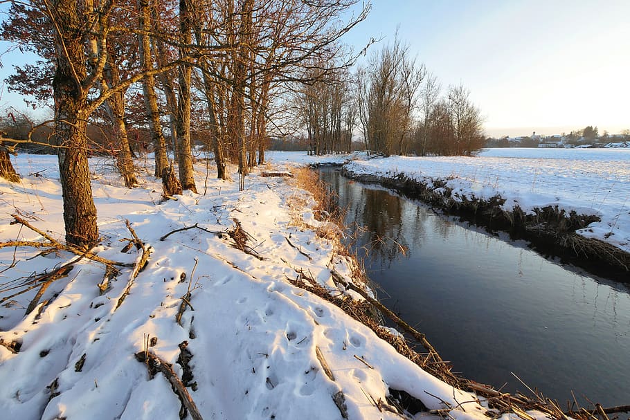 winter, snow, nature, tree, frost, river, bach, waters, landscape HD wallpaper