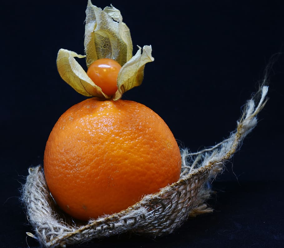 orange, physalis, fruit, berry, food, healthy, vitamins, decoration HD wallpaper