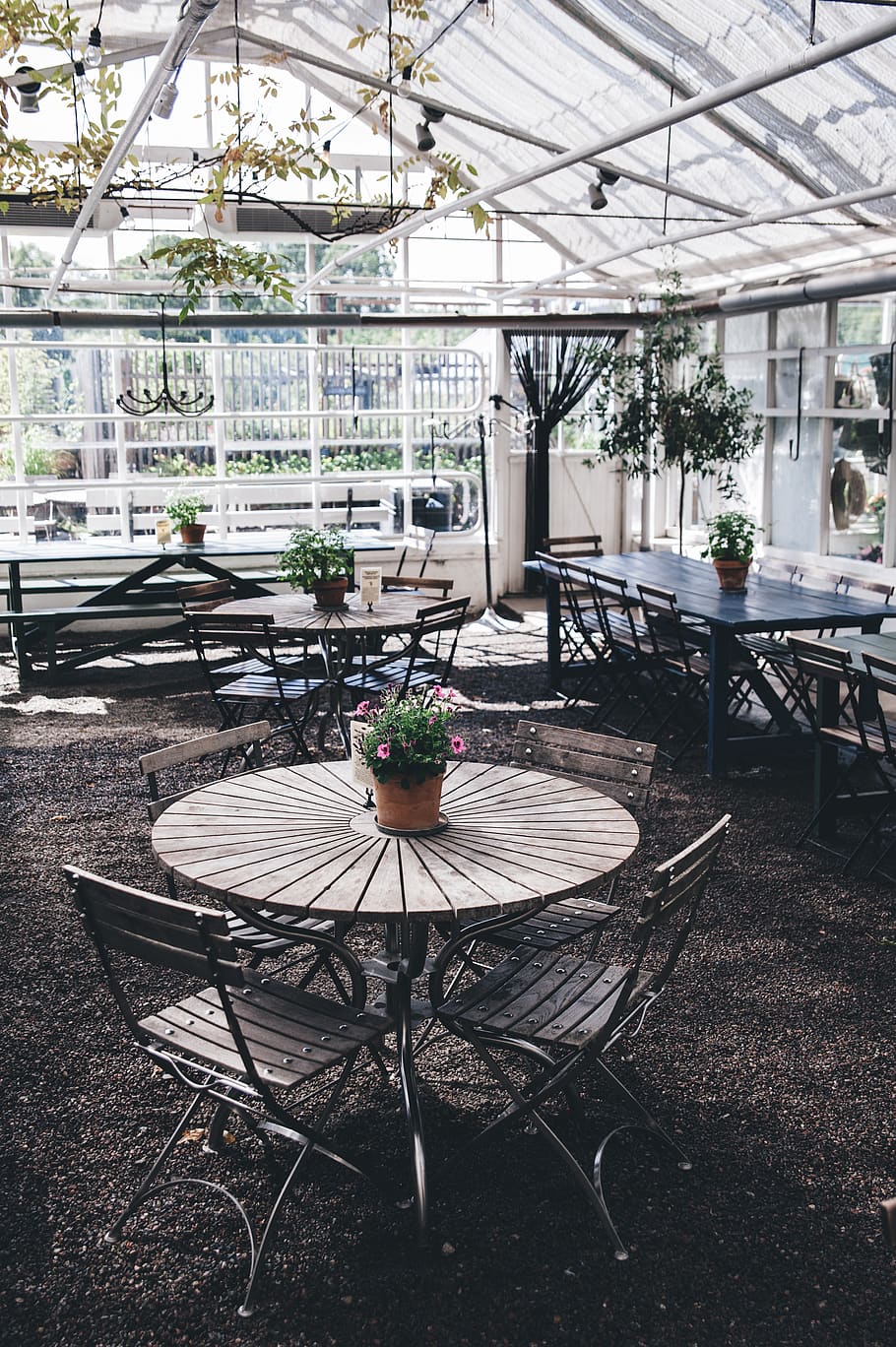round gray table with chairs inside building, seat, plant, no people HD wallpaper